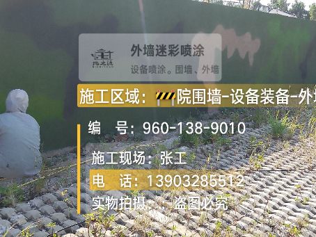 泰安外墙迷彩漆材料价约 45-60 元 /k
